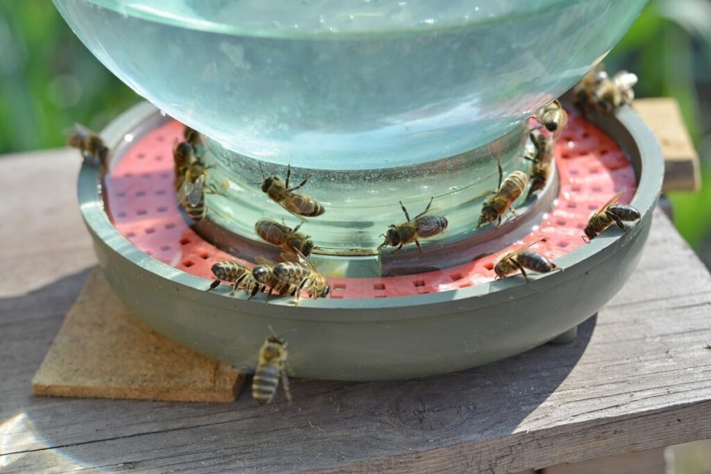 Best Ways to Keep Bees Away From Outdoor Showers