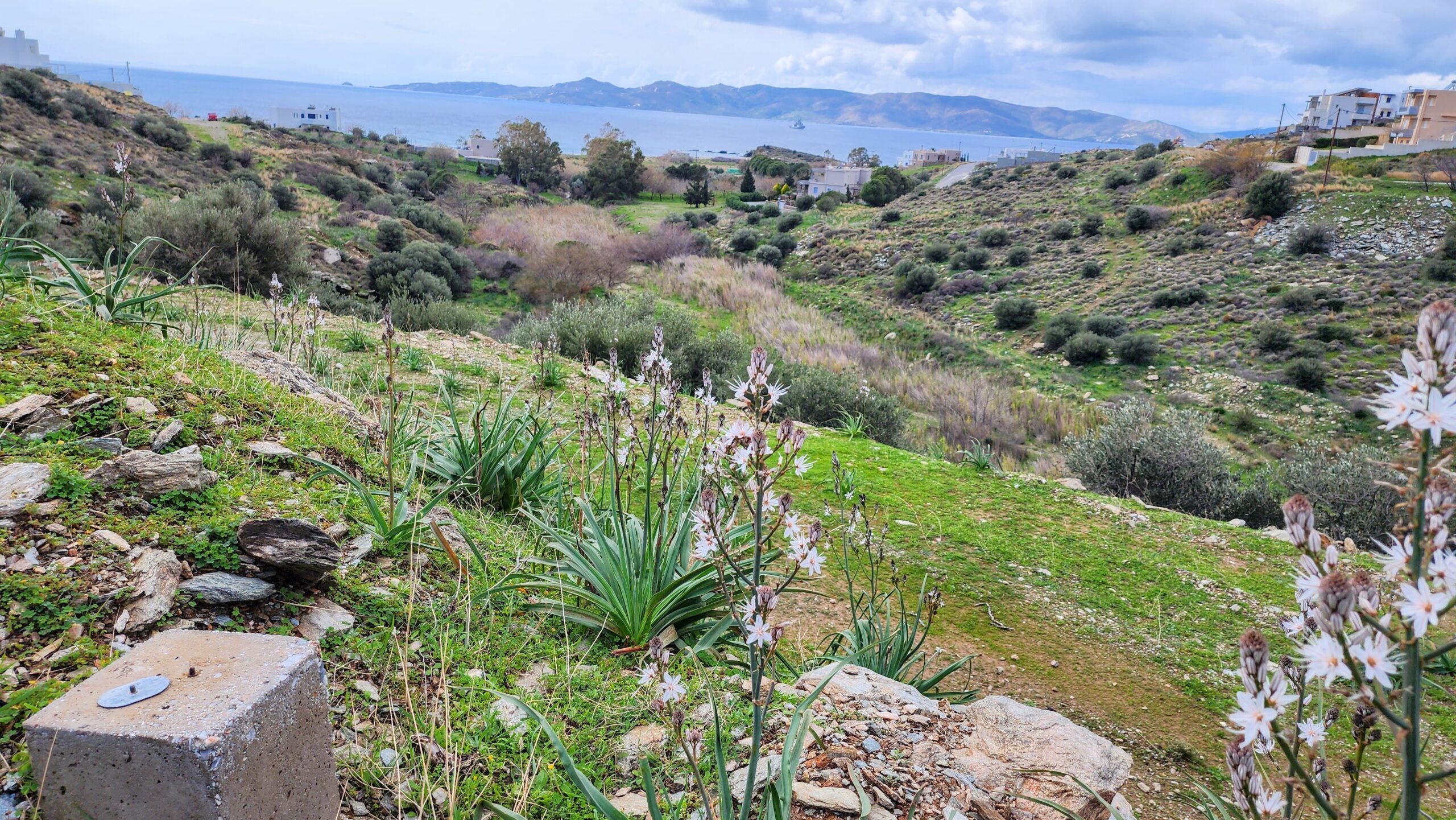 Euboea Greece property(נכס אבויה יוון)