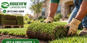 Landscaping in Mansfield TX